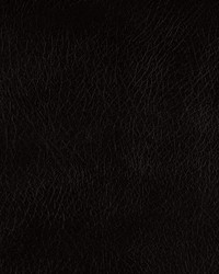 Lone Star Chocolate by   