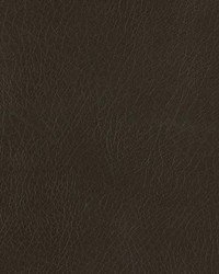 Lone Star Green Tea by   