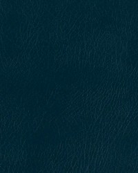 Lone Star Peacock by   