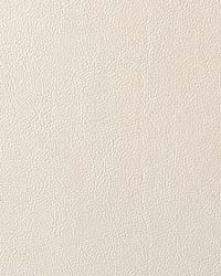 Luxury Beige by  Mitchell Group 