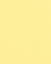 Allsport Nu Bright Yellow Vinyl by   