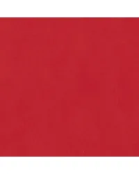 Biscayne Fire Red BI 125 by   