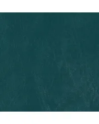 Biscayne Teal BI 123 by   