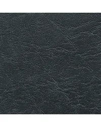 Carrara Black CR 500 by  Morbern Fabric 