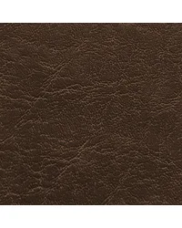 Carrara Coffee CR 520 by  Morbern Fabric 