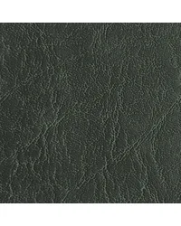 Carrara Dark Green CR 502 by  Morbern Fabric 