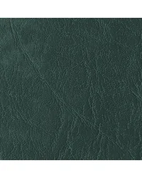 Carrara Forest Green CR 503 by  Morbern Fabric 