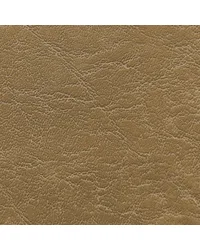 Carrara Parchment CR 505 by  Morbern Fabric 