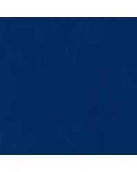 Catalina Marlin Blue CL 507 by   
