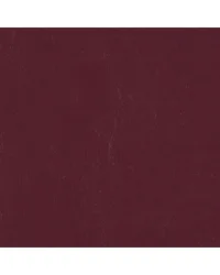 Newport Burgundy NR 314 by   
