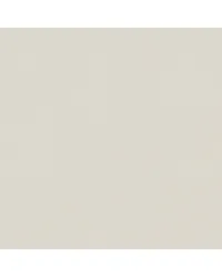 Newport Oyster White NR 302 by   