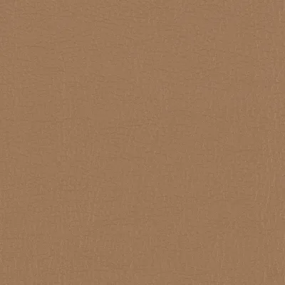 Morbern Fabric Protege Empire Tan