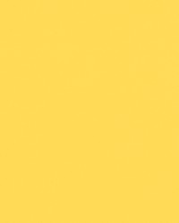 Seabrook D Action Yellow SBD 146 by   