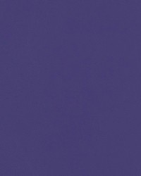 Seabrook D Purple SB 141 by   