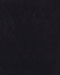 Seabrook Ebony SB 102 by   