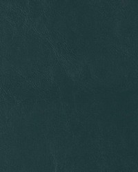 Seabrook Forest SB 113 by   