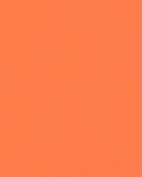 Seabrook Hot Orange SB 145 by   