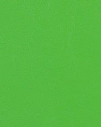 Seabrook Lime SB 147 by   