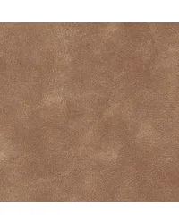 Yorktown Tan YT 203 by   