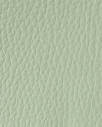 Allure AL 34 Sage by   