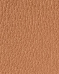 Allure AL 37 Clay Dust by   
