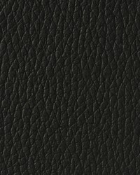 Allure AL 42 Nocturnal by   