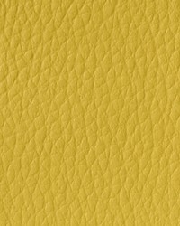 Allure AL 48 Autumn Glade by   