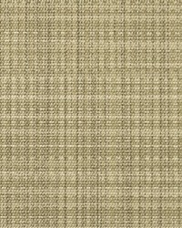 Casablanca CAS84 Palm by   