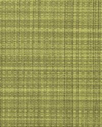 Casablanca CAS85 Avocado by   