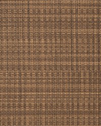 Casablanca CAS89 Java by   