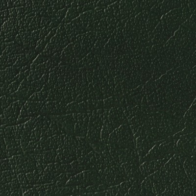 Naugahyde Oxen 28 Green in Oxen Green Upholstery Marine and Auto Vinyl  Fabric