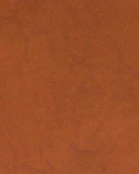 Andee Potter Faux Leather by   