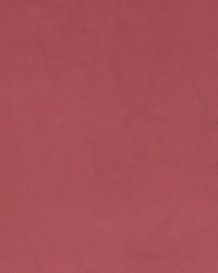 Andee Primrose Faux Leather by   