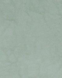 Andee Wasabi Faux Leather by   