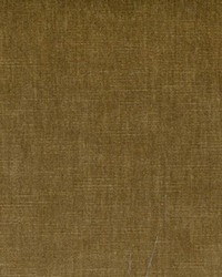 BELMONT CARAMEL 819 by   