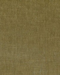 BELMONT KHAKI 808 by   