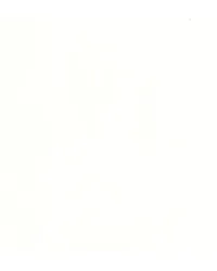 Capital Mystic White 602 by   