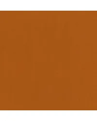 Capital Pumpkin Spice 44 by   