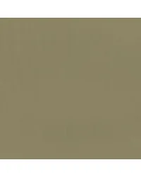 Capital Taupe 609 by   