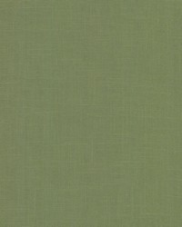 Dandy Green Tea by  Premier Prints 