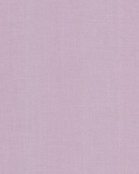 Dandy Orchid by  Premier Prints 