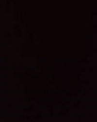 Luxor Black Sateen by   