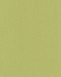 Luxor Celery Sateen by   