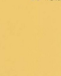 Luxor Straw Sateen by   