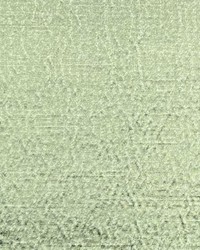 Lustra Lichen 349 by   