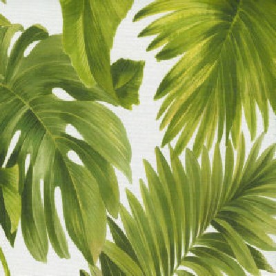 Norbar Poppy Green 50 COLORBOOK Green Multipurpose POLYESTER  Blend Fire Rated Fabric Tropical  Leaves and Trees  Fabric