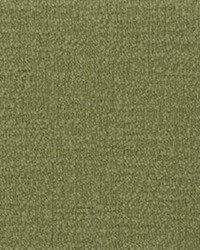 Prezzo Fennel 323 by   