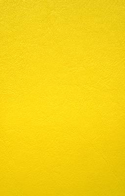 Norbar Scranton Lemon Peel Enduro Upholstery 100%  Blend Fire Rated Fabric Solid Faux Leather NFPA 260  Fabric
