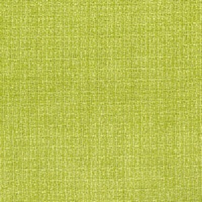 Norbar Stamp Lime COLORBOOK Green Multipurpose POLYESTER POLYESTER Fire Rated Fabric Solid Color Chenille  Fabric