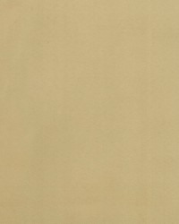 Supra Antique 11 Microsuede by   